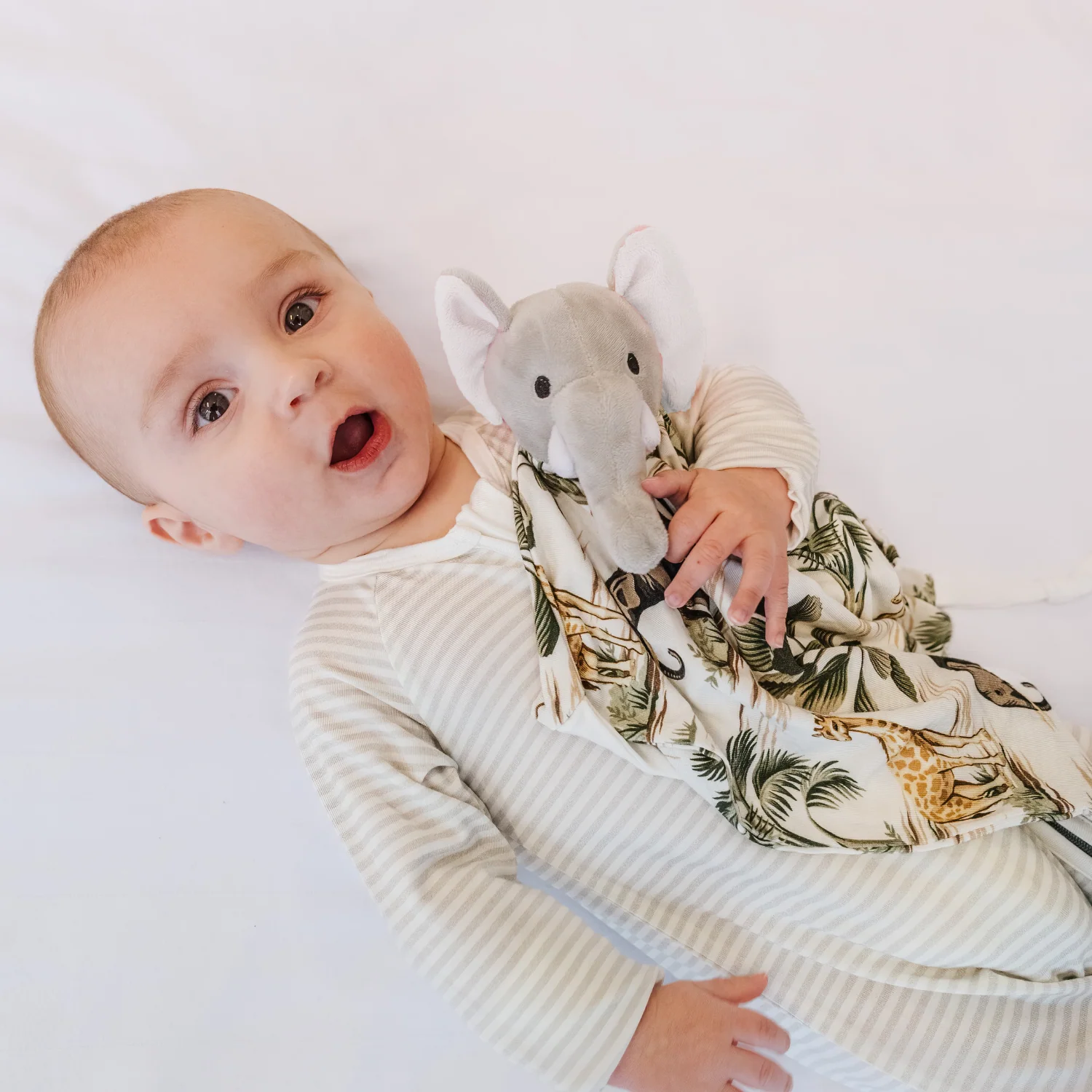 NATTOU -NATTOU 7 a39d7fa1 4db7 4584 adba 8cf1c6bbdbb3